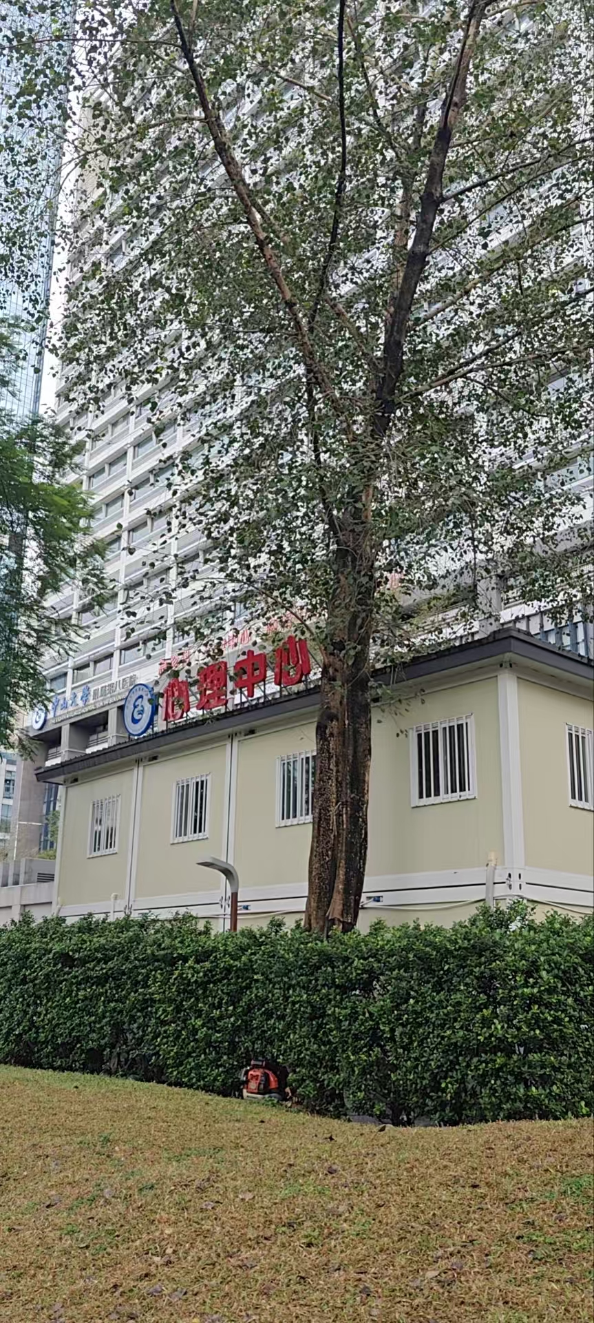 Cost-Effective 20ft Prefab House - Container Hospital/Clinic Modular Design Easy Relocate - Image 4